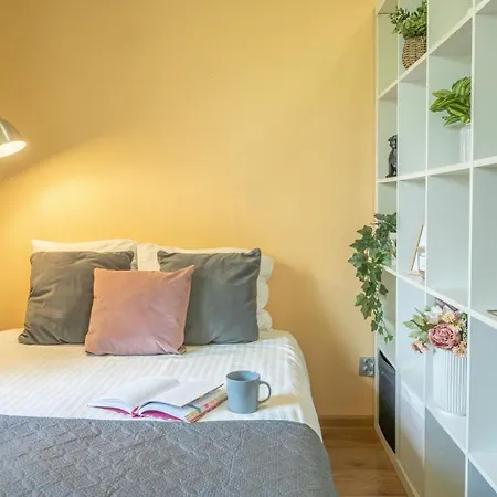 Apartment Premium Salt