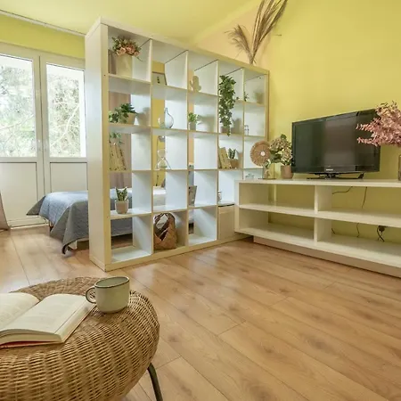 Premium Salt Apartment Groß Salze