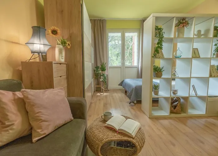 Premium Salt Groß Salze